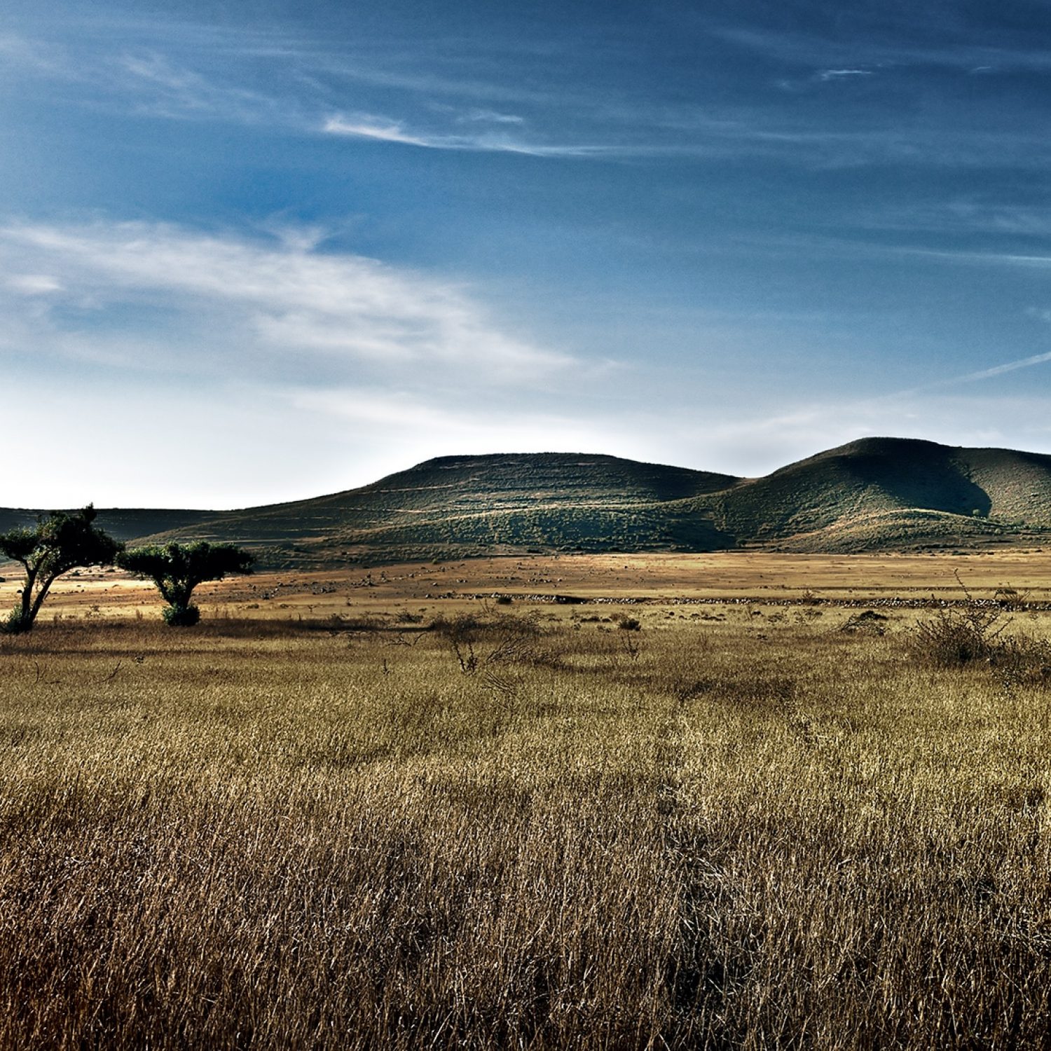 Cabo del Gata - endless open space